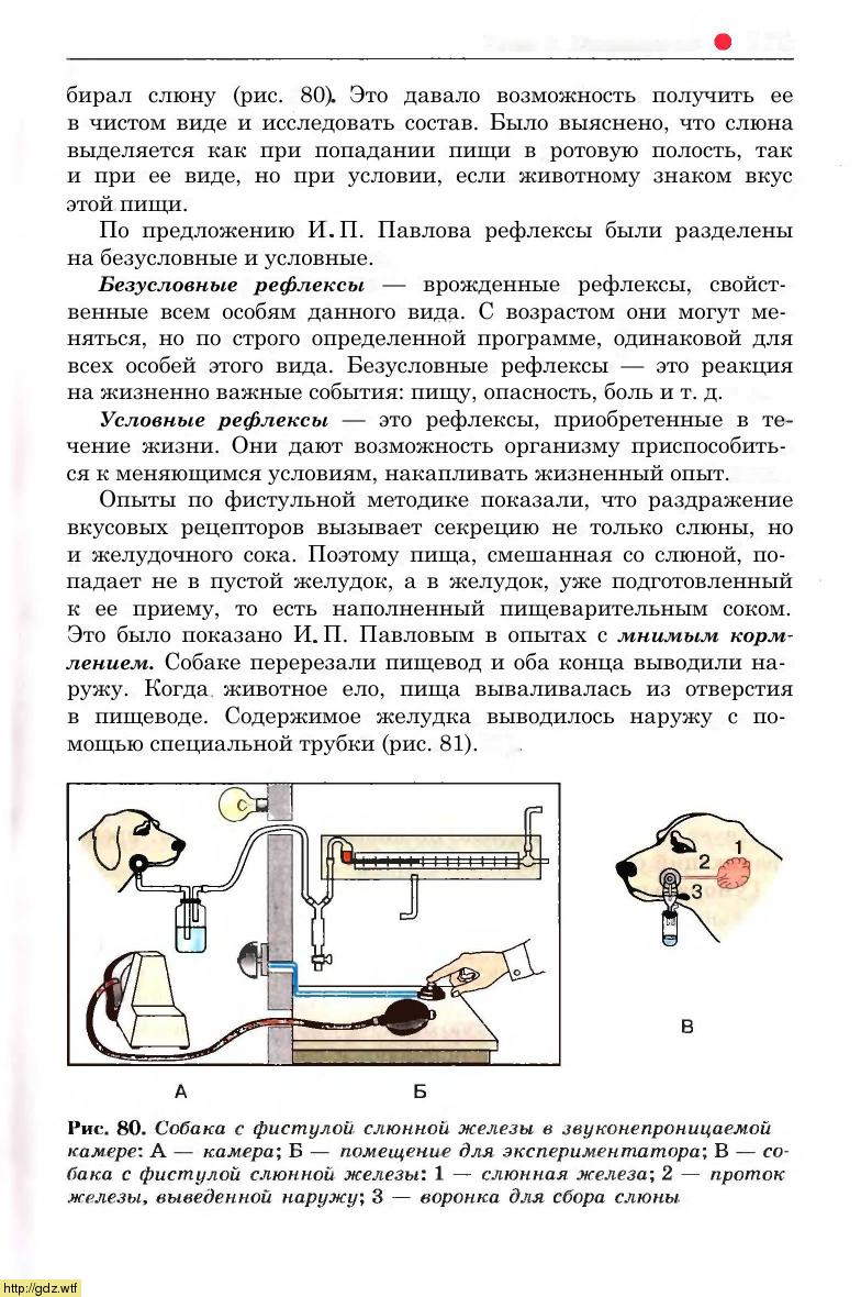 Биология за 8-ой класс - Д.В. Колесов, Р.Д. Маш. Биология. Человек. 8 ...
