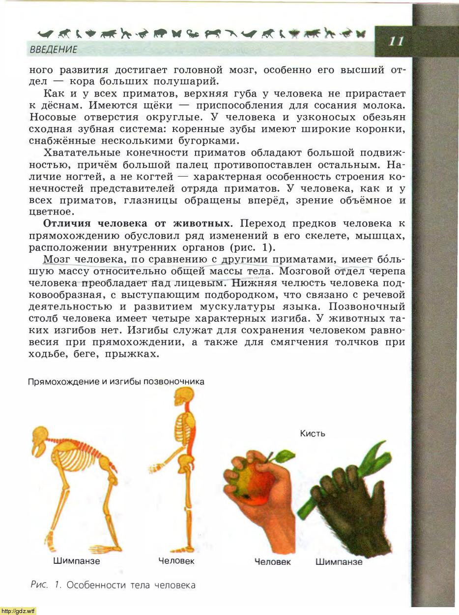 Биология за 8-ой класс - В.В.Пасечник, А.А. Каменский. Биология. Линия ...