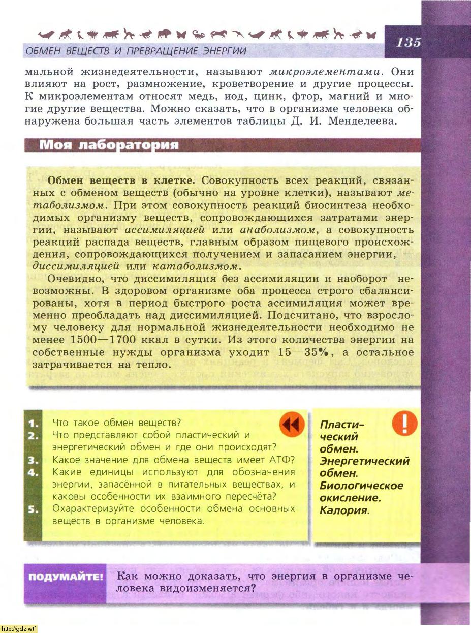 Биология за 8-ой класс - В.В.Пасечник, А.А. Каменский. Биология. Линия ...