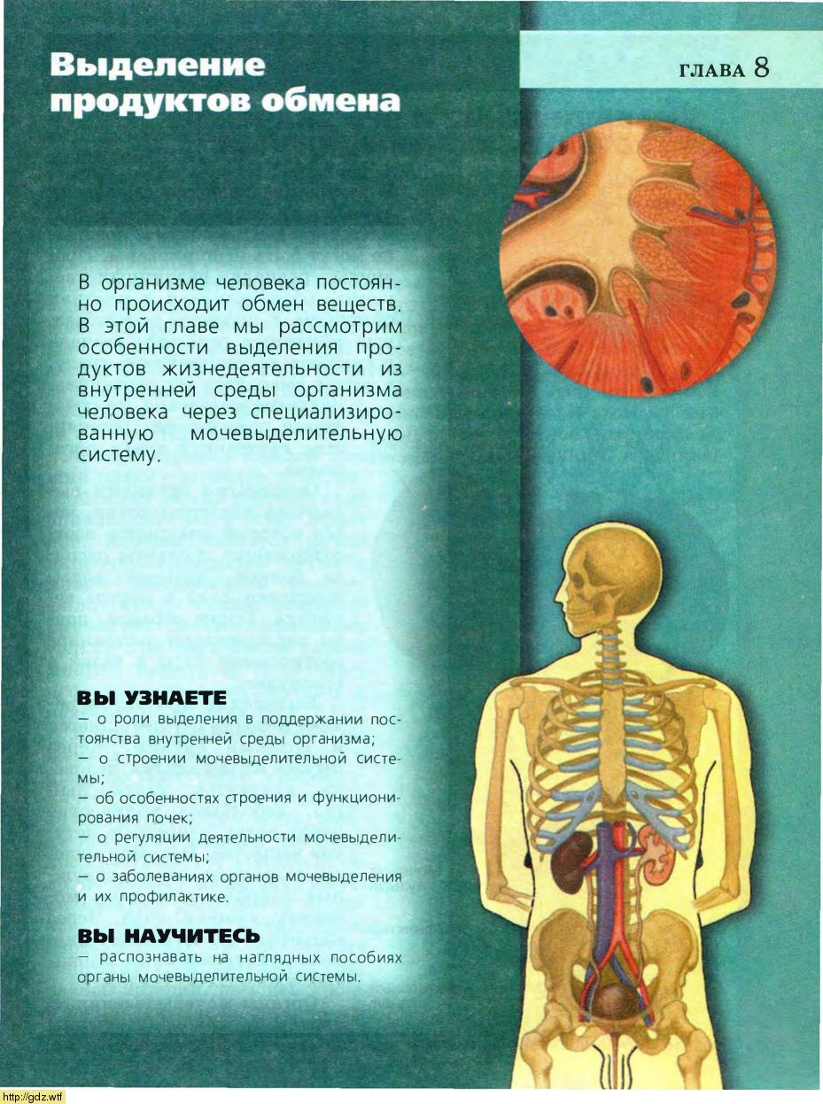 биология 8 класс пасечник