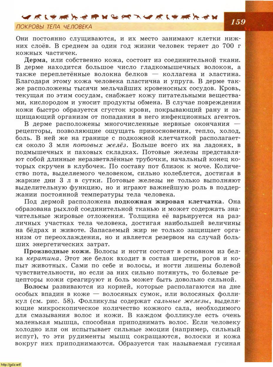 Биология за 8-ой класс - В.В.Пасечник, А.А. Каменский. Биология. Линия ...