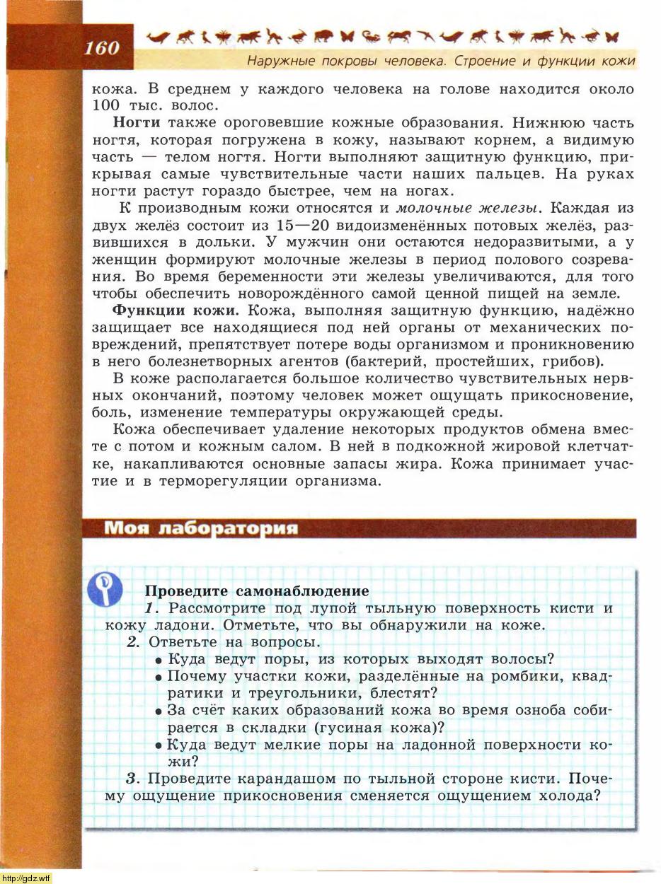 Биология за 8-ой класс - В.В.Пасечник, А.А. Каменский. Биология. Линия ...
