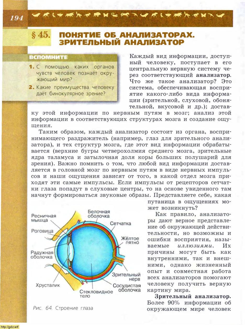 Биология за 8-ой класс - В.В.Пасечник, А.А. Каменский. Биология. Линия ...