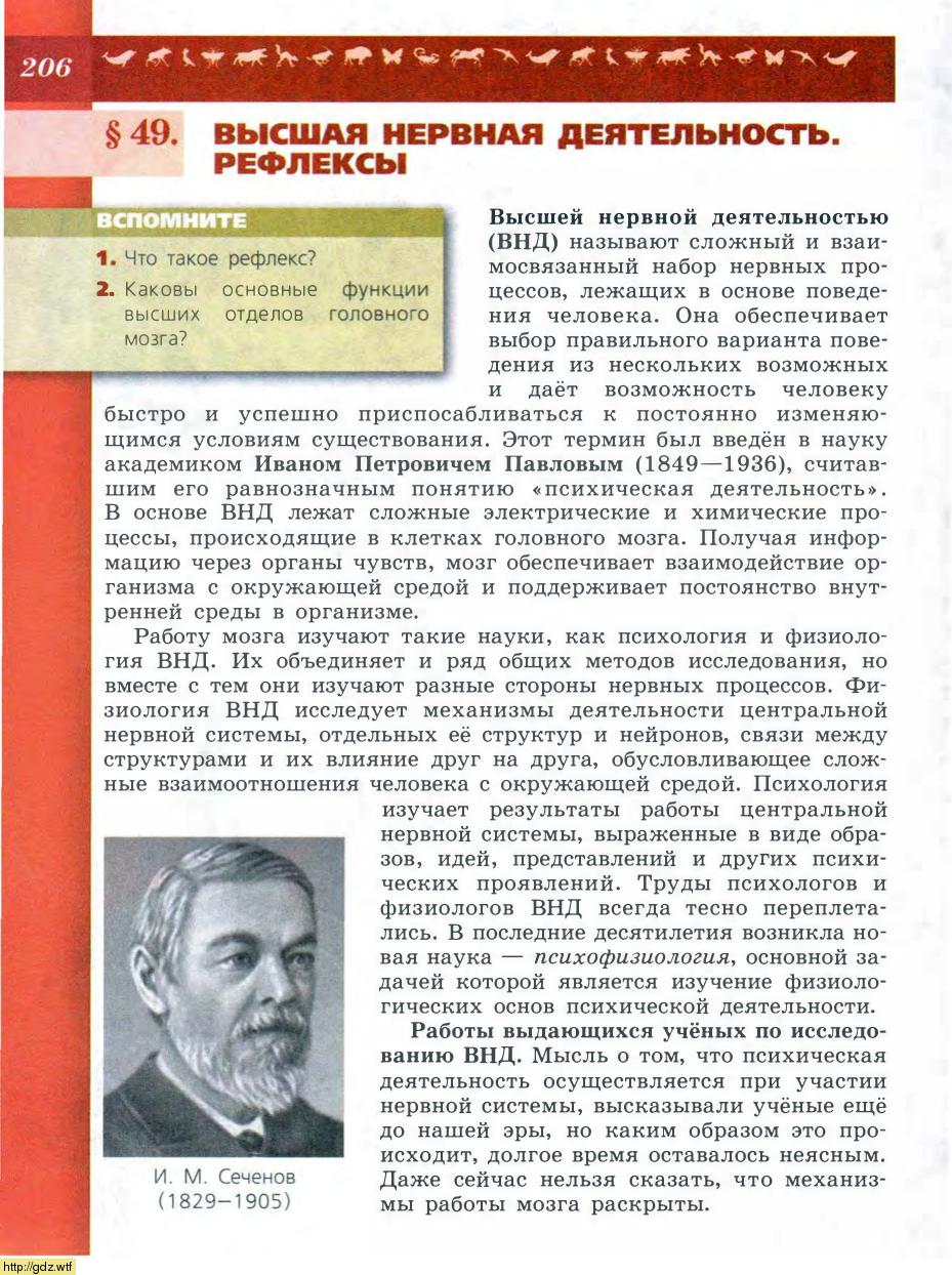 Биология за 8-ой класс - В.В.Пасечник, А.А. Каменский. Биология. Линия ...