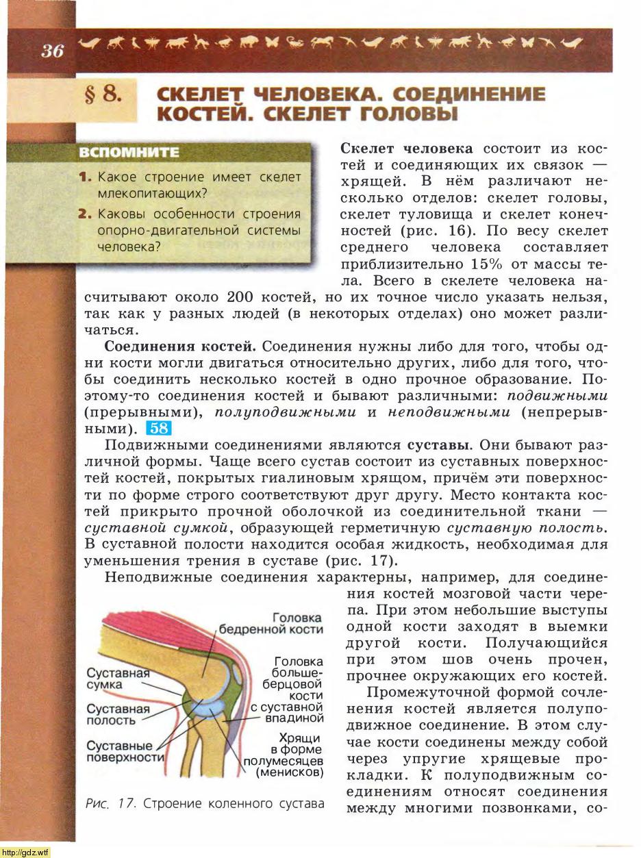 Биология за 8-ой класс - В.В.Пасечник, А.А. Каменский. Биология. Линия ...