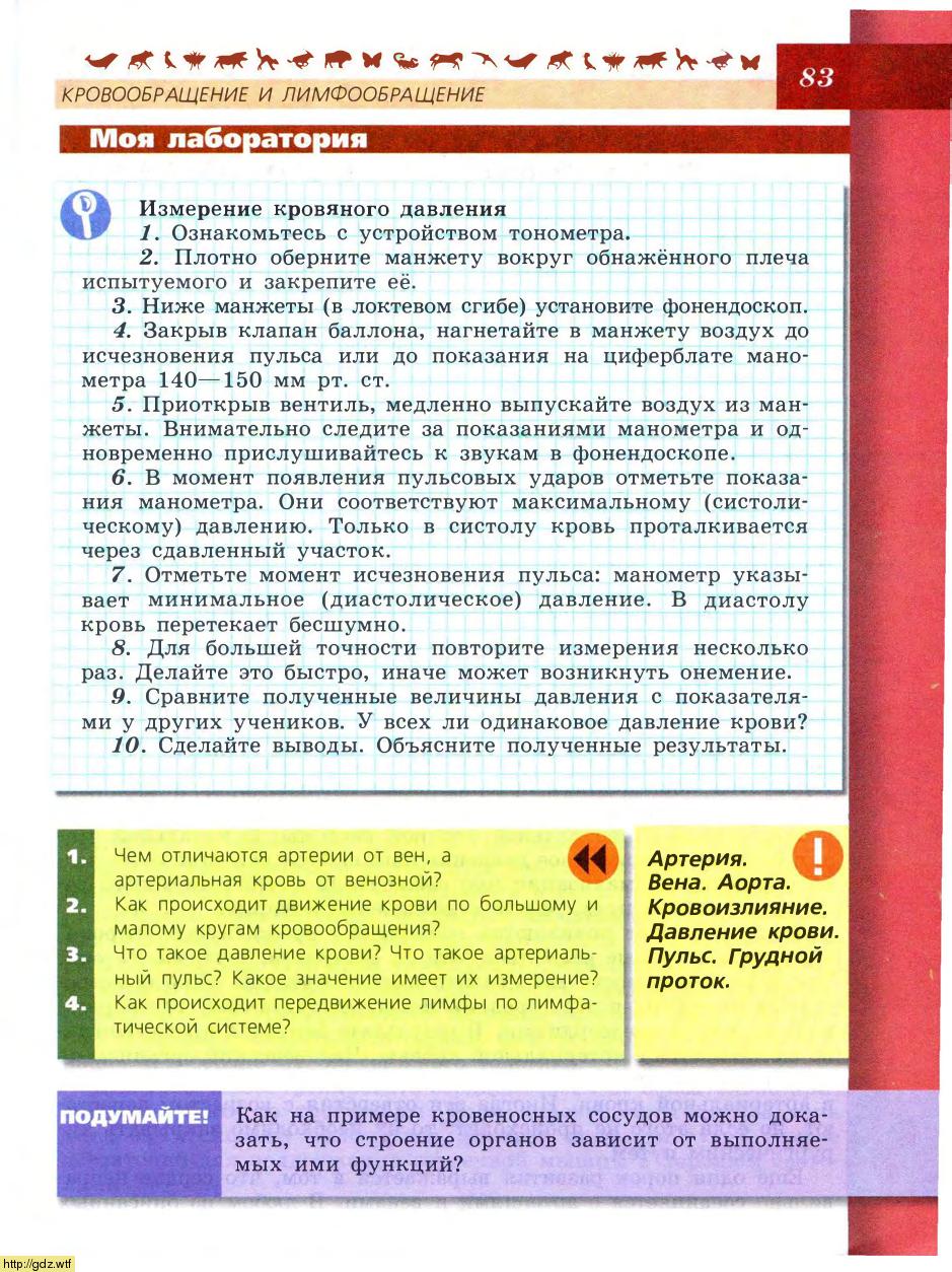 Биология за 8-ой класс - В.В.Пасечник, А.А. Каменский. Биология. Линия ...