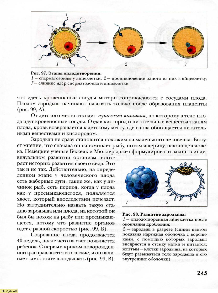 Биология за 8-ой класс - А.Г. Драгомилов, Р.Д. Маш. Биология 8-ой класс ...