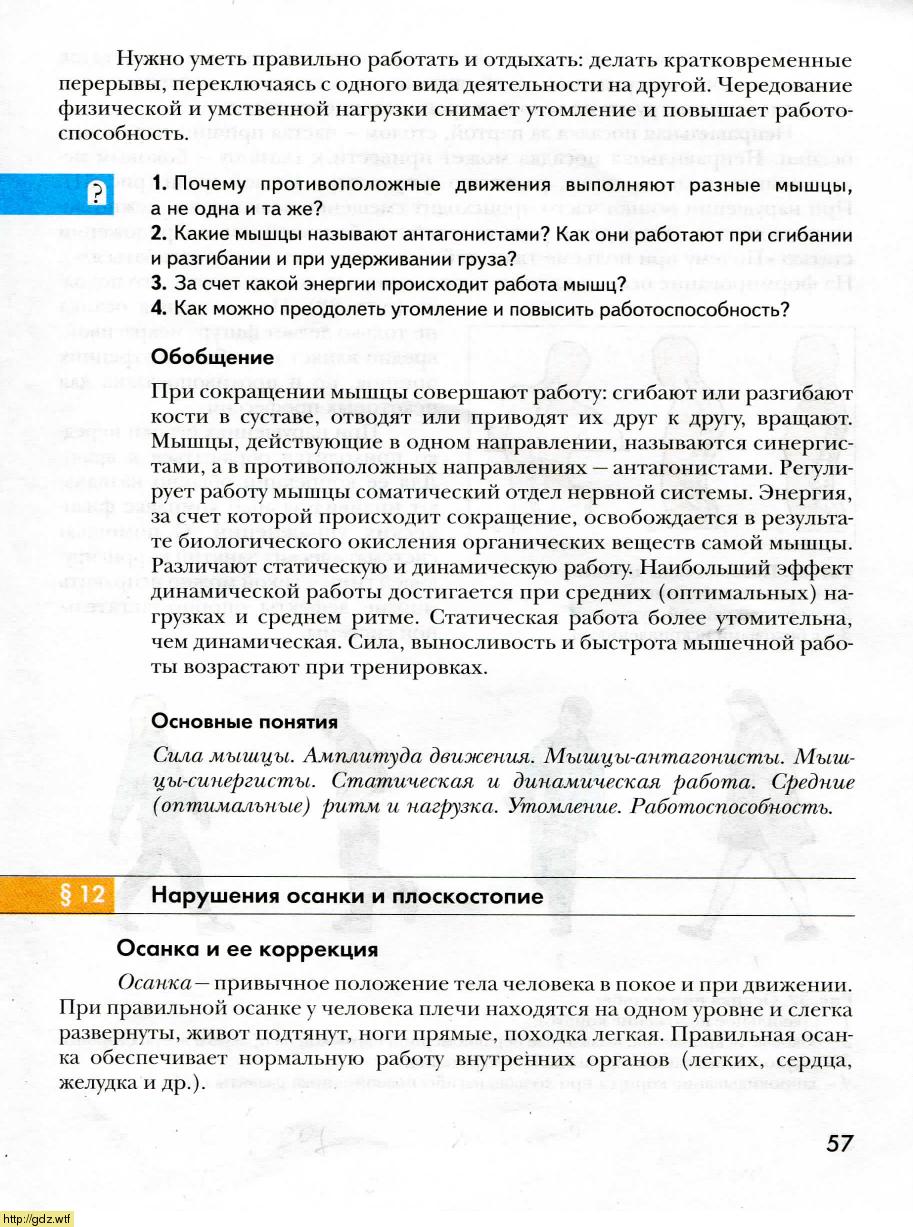 Биология за 8-ой класс - А.Г. Драгомилов, Р.Д. Маш. Биология 8-ой класс ...