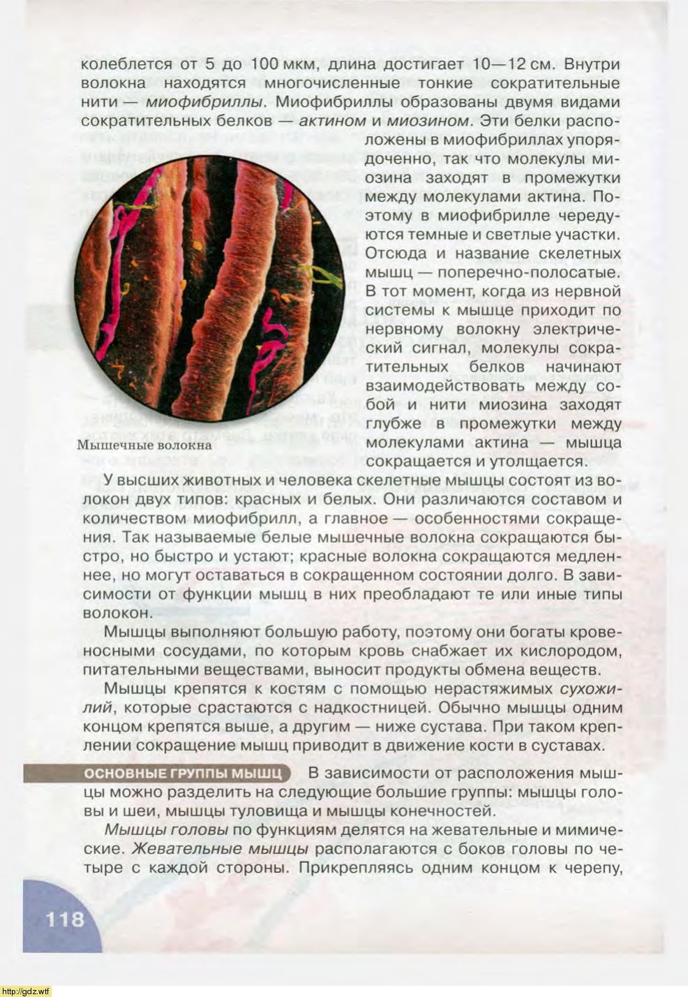 Биология за 8-ой класс - Н.И. Сонин, М.Р. Сапин. Биология.Человек. 8-ой ...