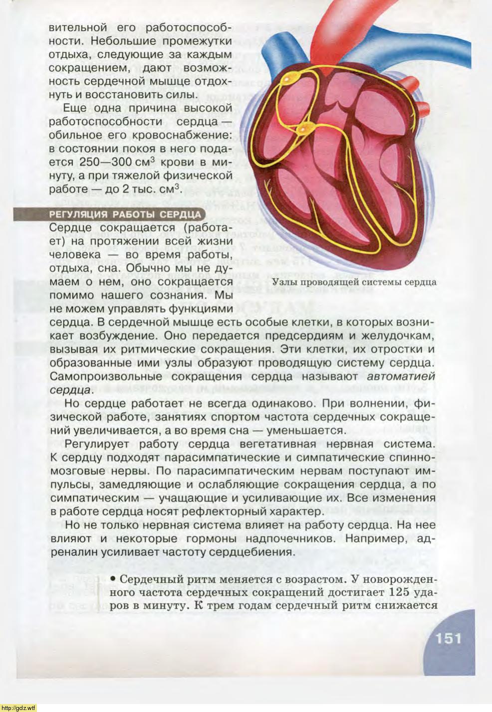 Биология за 8-ой класс - Н.И. Сонин, М.Р. Сапин. Биология.Человек. 8-ой ...