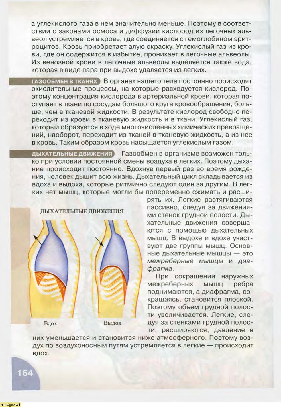 Биология за 8-ой класс - Н.И. Сонин, М.Р. Сапин. Биология.Человек. 8-ой ...