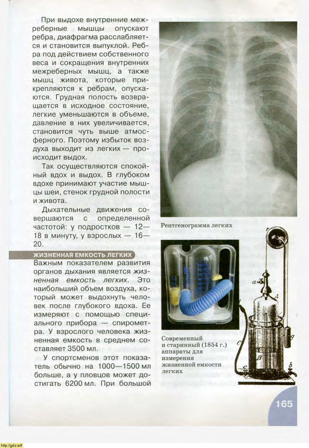 Биология за 8-ой класс - Н.И. Сонин, М.Р. Сапин. Биология.Человек. 8-ой ...