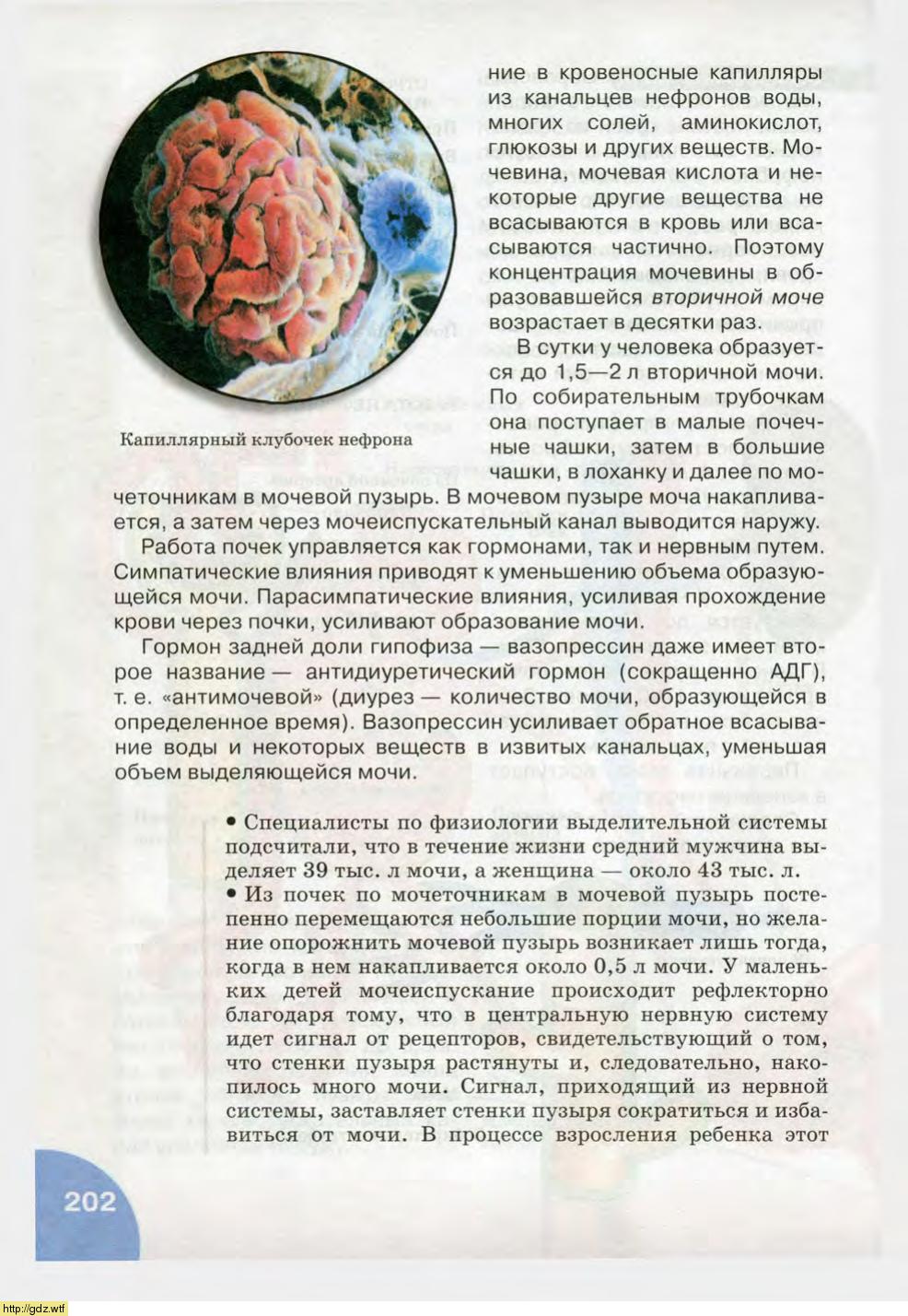 Биология за 8-ой класс - Н.И. Сонин, М.Р. Сапин. Биология.Человек. 8-ой ...