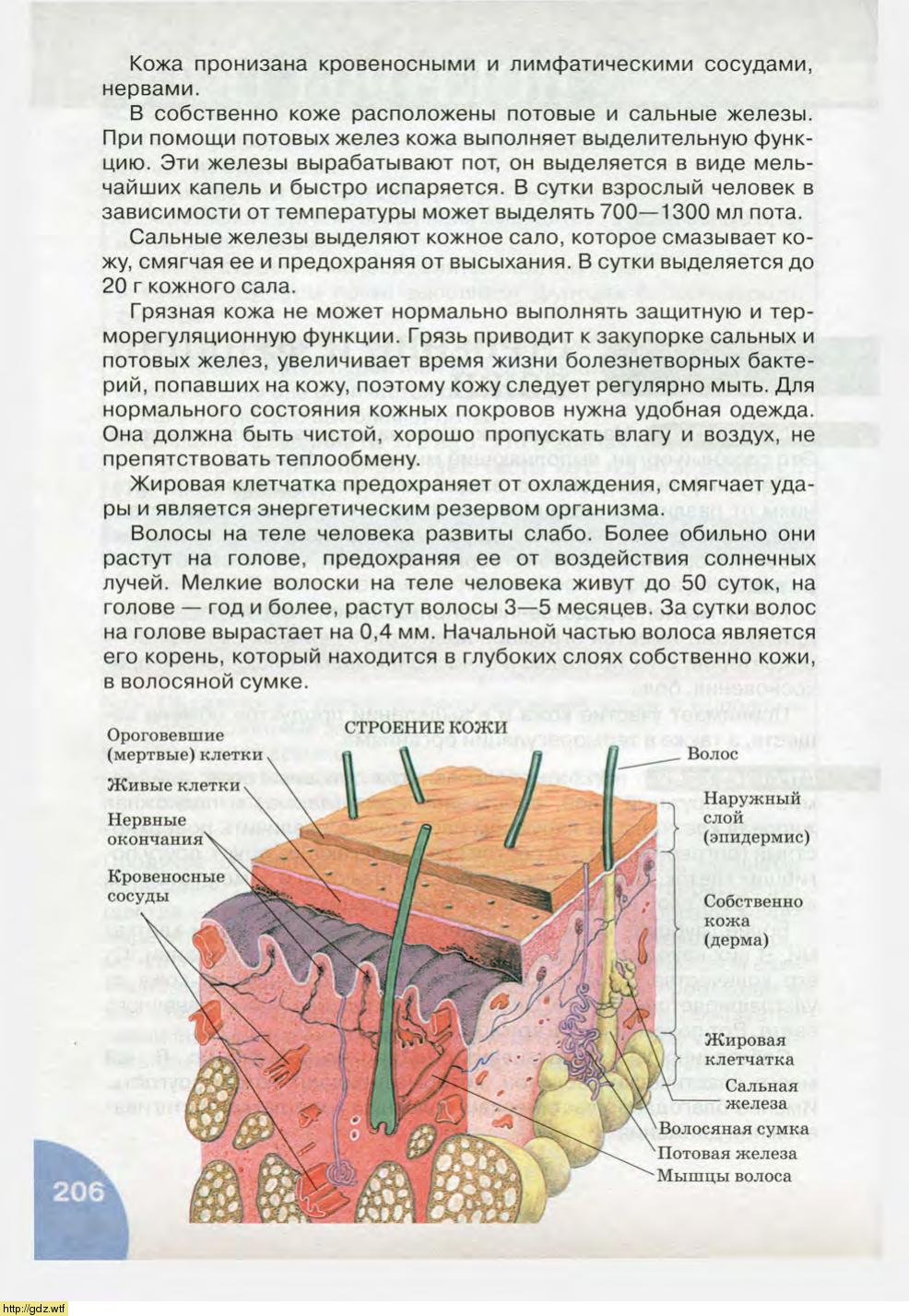 Биология за 8-ой класс - Н.И. Сонин, М.Р. Сапин. Биология.Человек. 8-ой ...