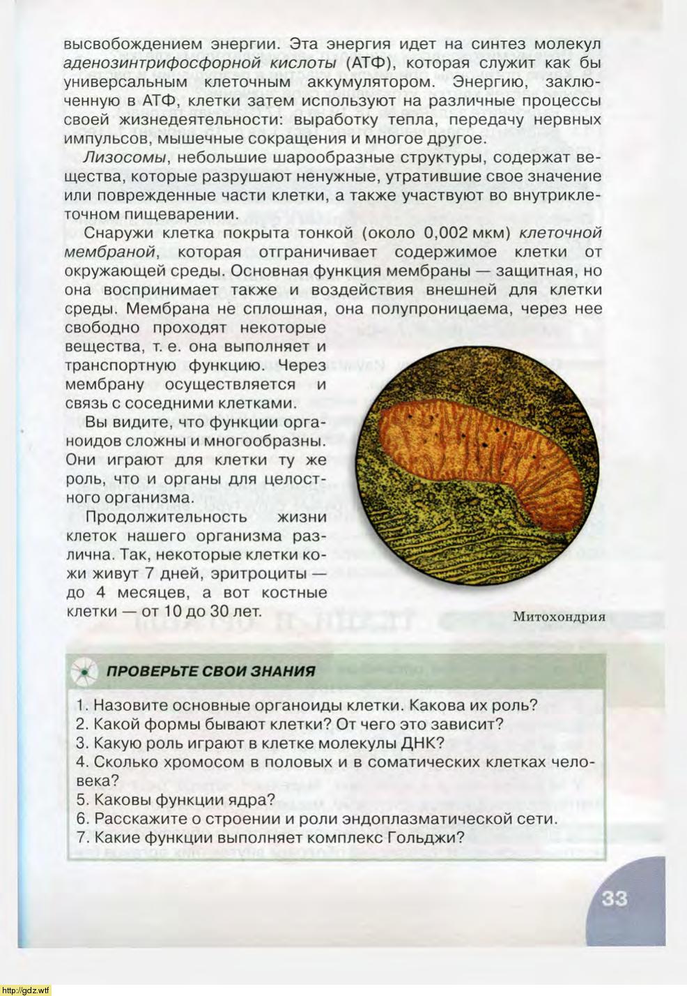 Биология за 8-ой класс - Н.И. Сонин, М.Р. Сапин. Биология.Человек. 8-ой ...