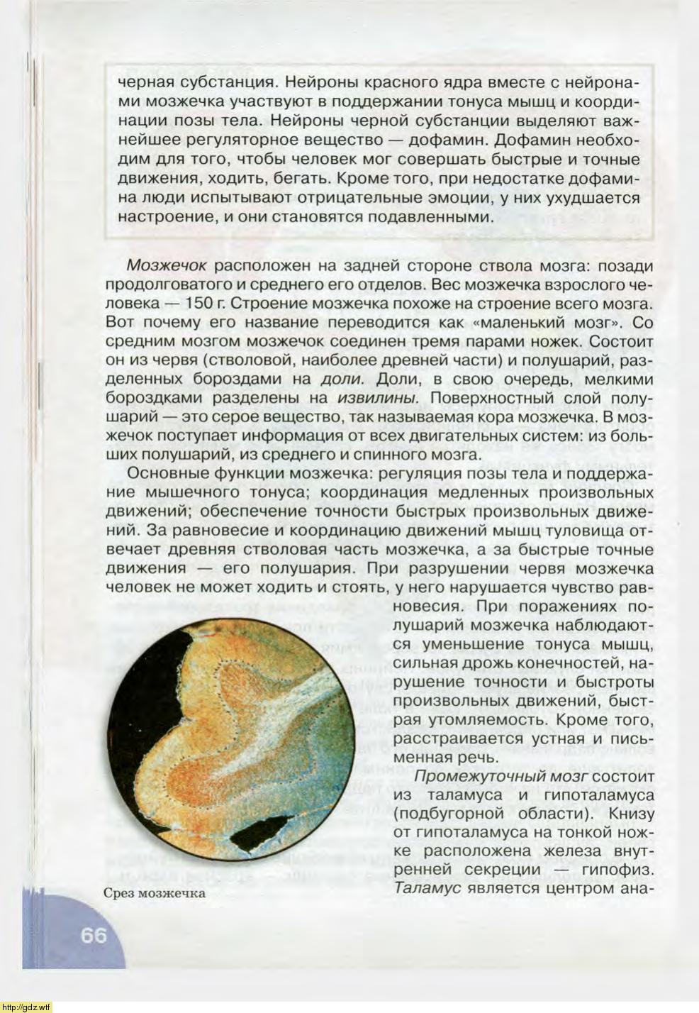 Биология за 8-ой класс - Н.И. Сонин, М.Р. Сапин. Биология.Человек. 8-ой ...