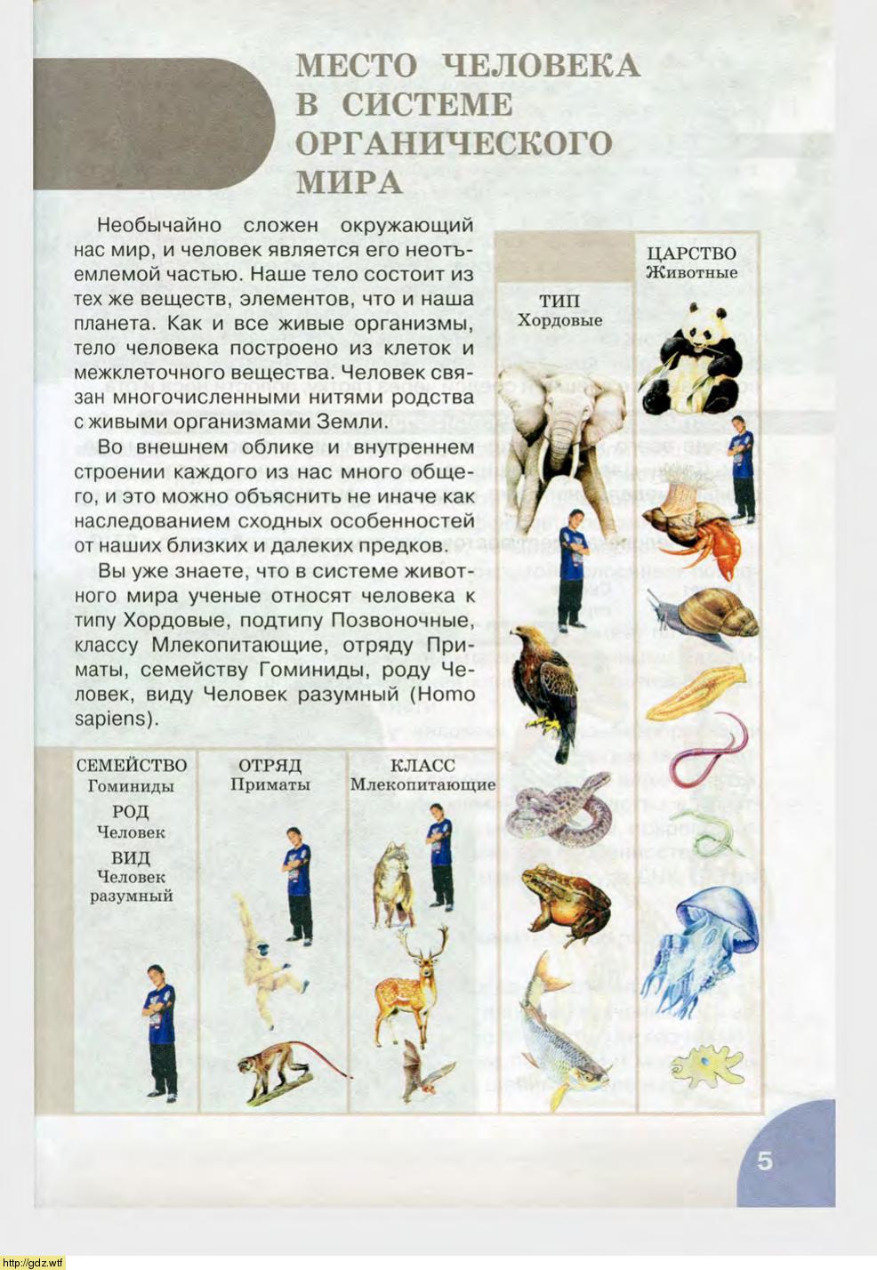 Биология за 8-ой класс - Н.И. Сонин, М.Р. Сапин. Биология.Человек. 8-ой ...