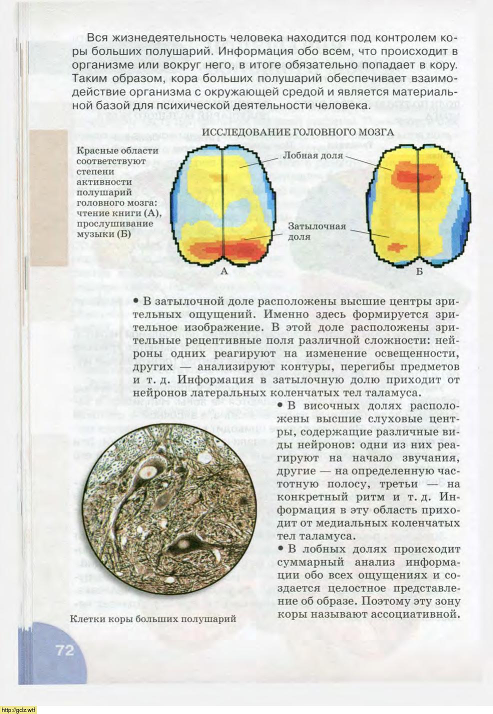 Биология за 8-ой класс - Н.И. Сонин, М.Р. Сапин. Биология.Человек. 8-ой ...