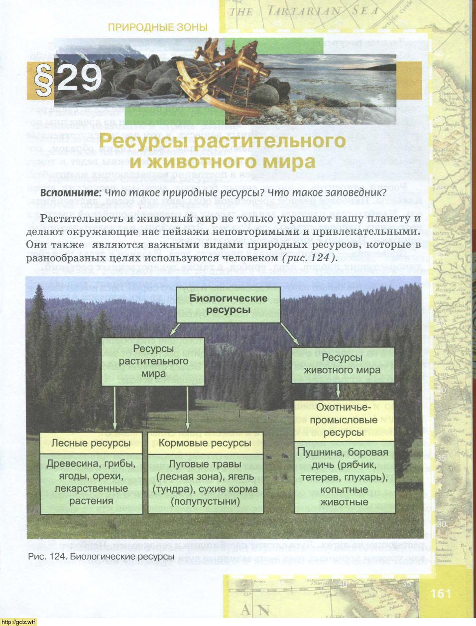 Природные ресурсы природных зон. География 8 класс. Природные ресурсы. Таблица природные зоны и биологические ресурсы. География 8 класс конспект.