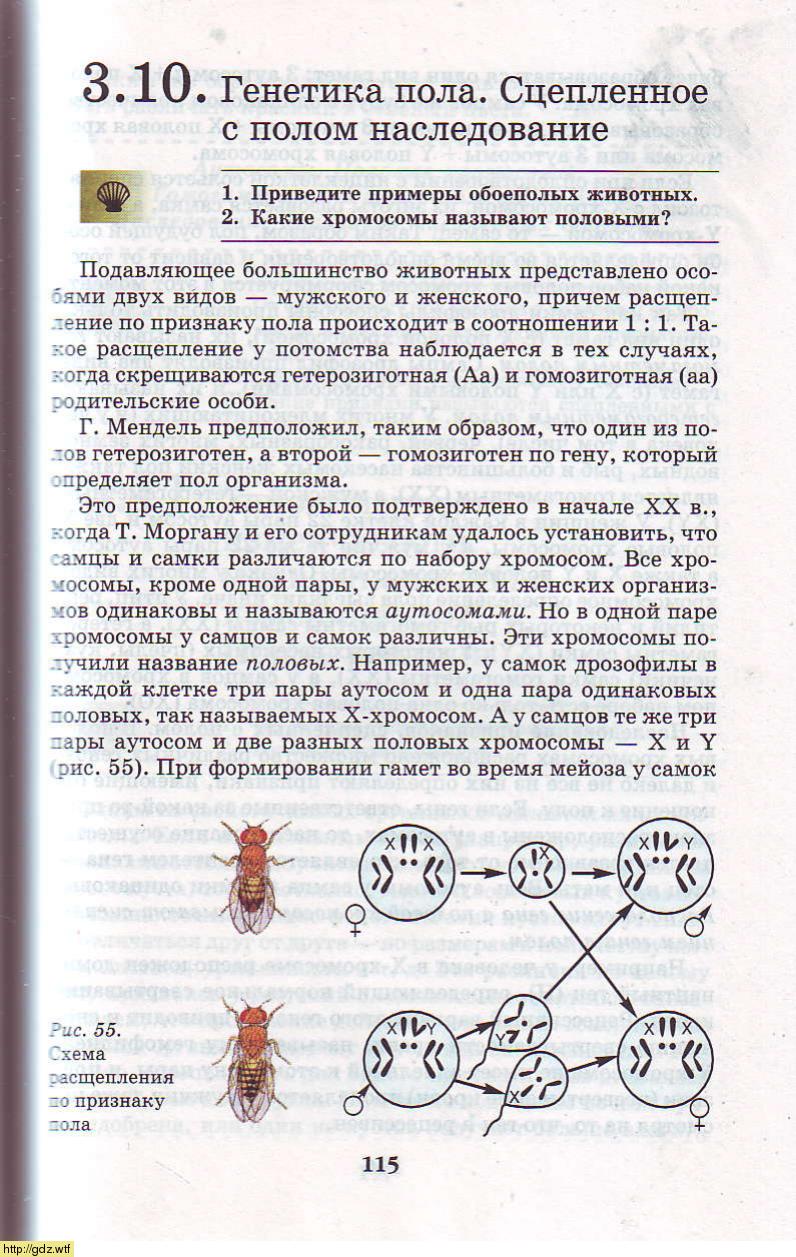Биология за 9-ый класс - А.А. Каменский, Е.А. Криксунов. Биология ...