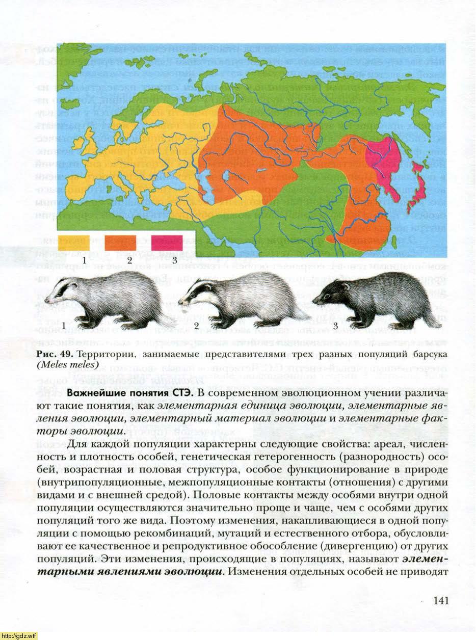 Барсук ареал обитания в России