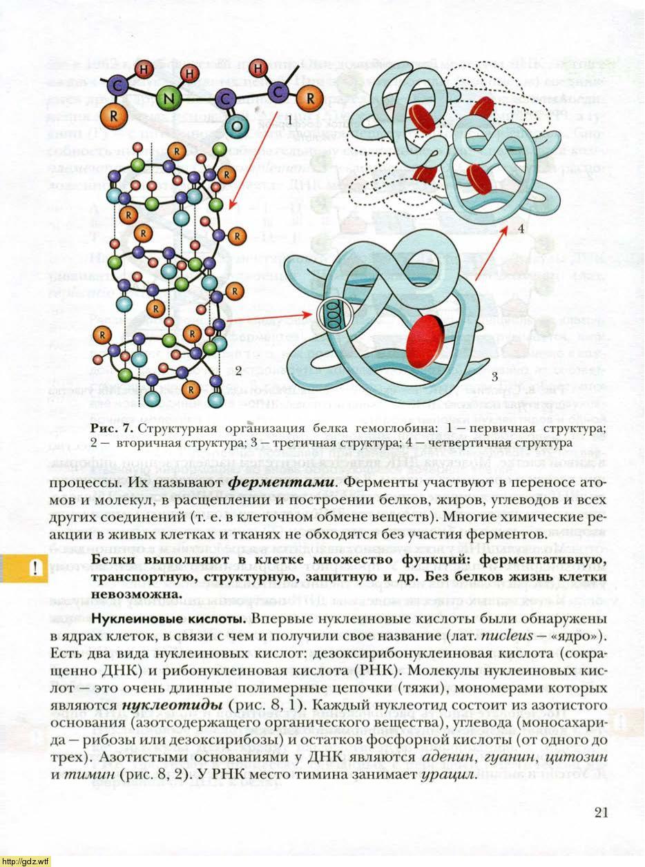 Биология 9 класс Пономарева Корнилова