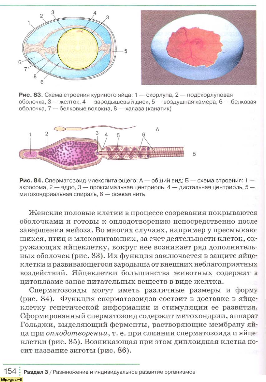 Биология за 9-ый класс - С.Г. Мамонтов, В.Б. Захаров. Биология. Общие ...