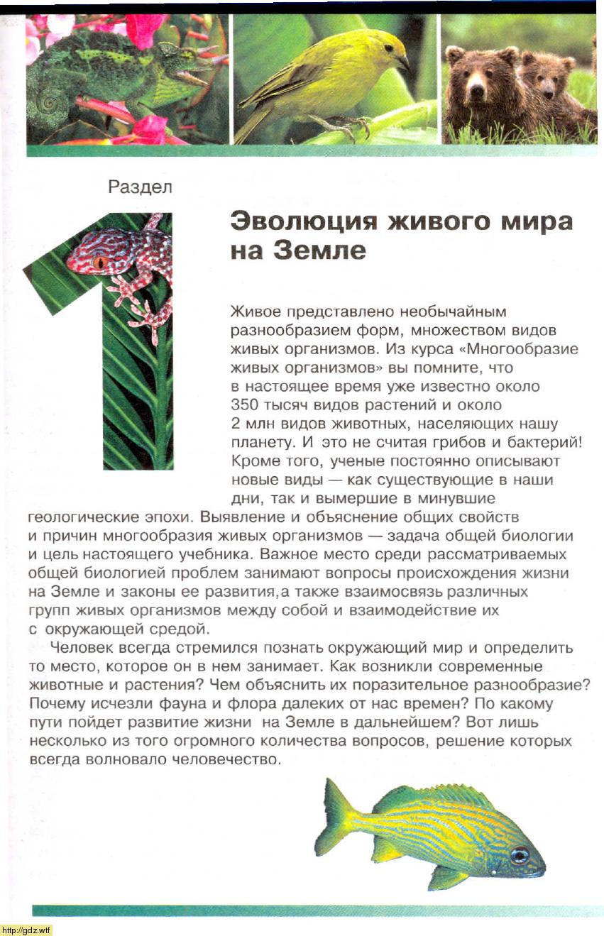 Биология за 9-ый класс - С.Г. Мамонтов, В.Б. Захаров. Биология. Общие ...