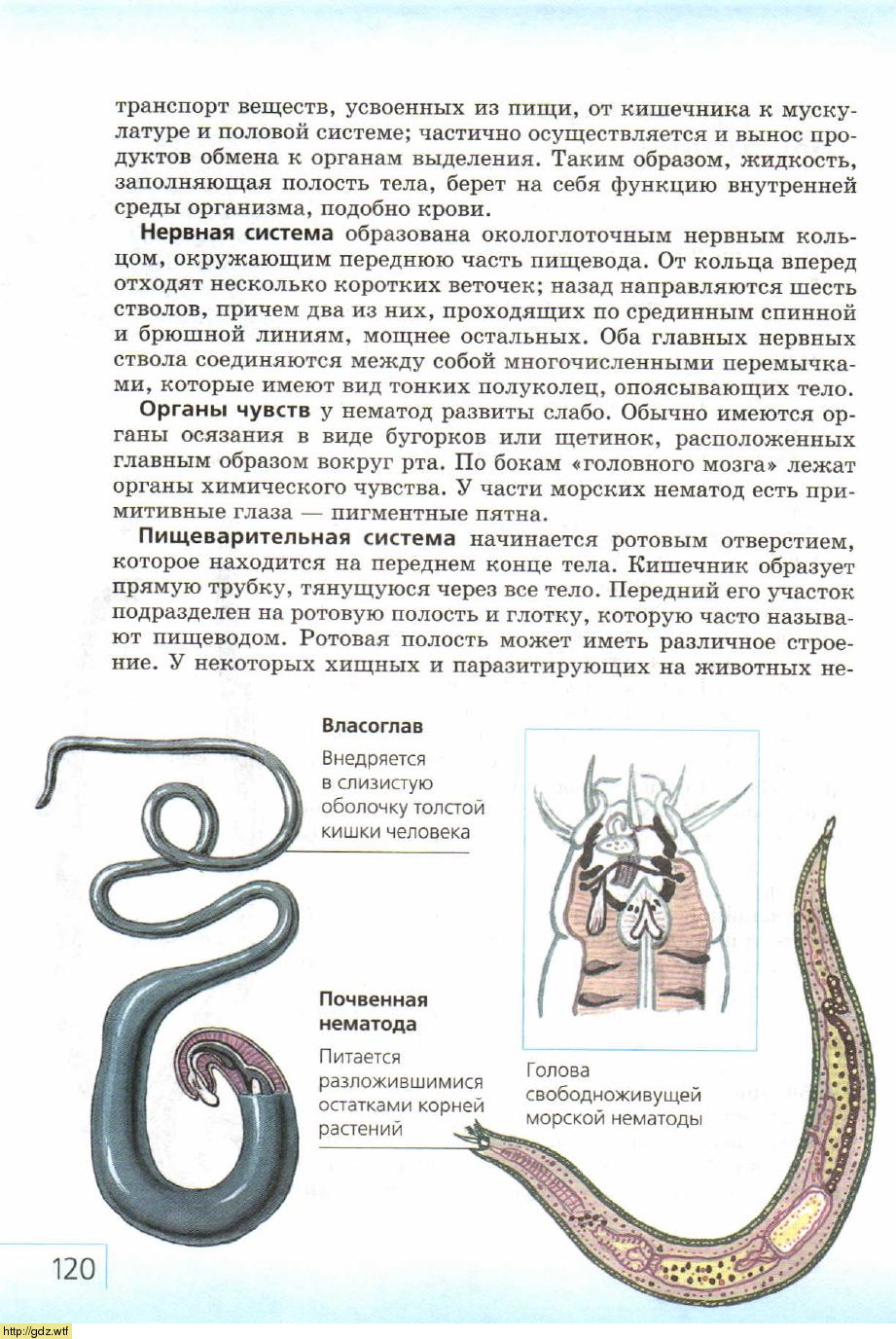 Биология за 7-ой класс - В.Б. Захаров, Н.И. Сонин. Биология ...