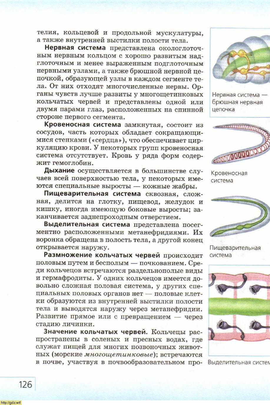 Биология за 7-ой класс - В.Б. Захаров, Н.И. Сонин. Биология ...