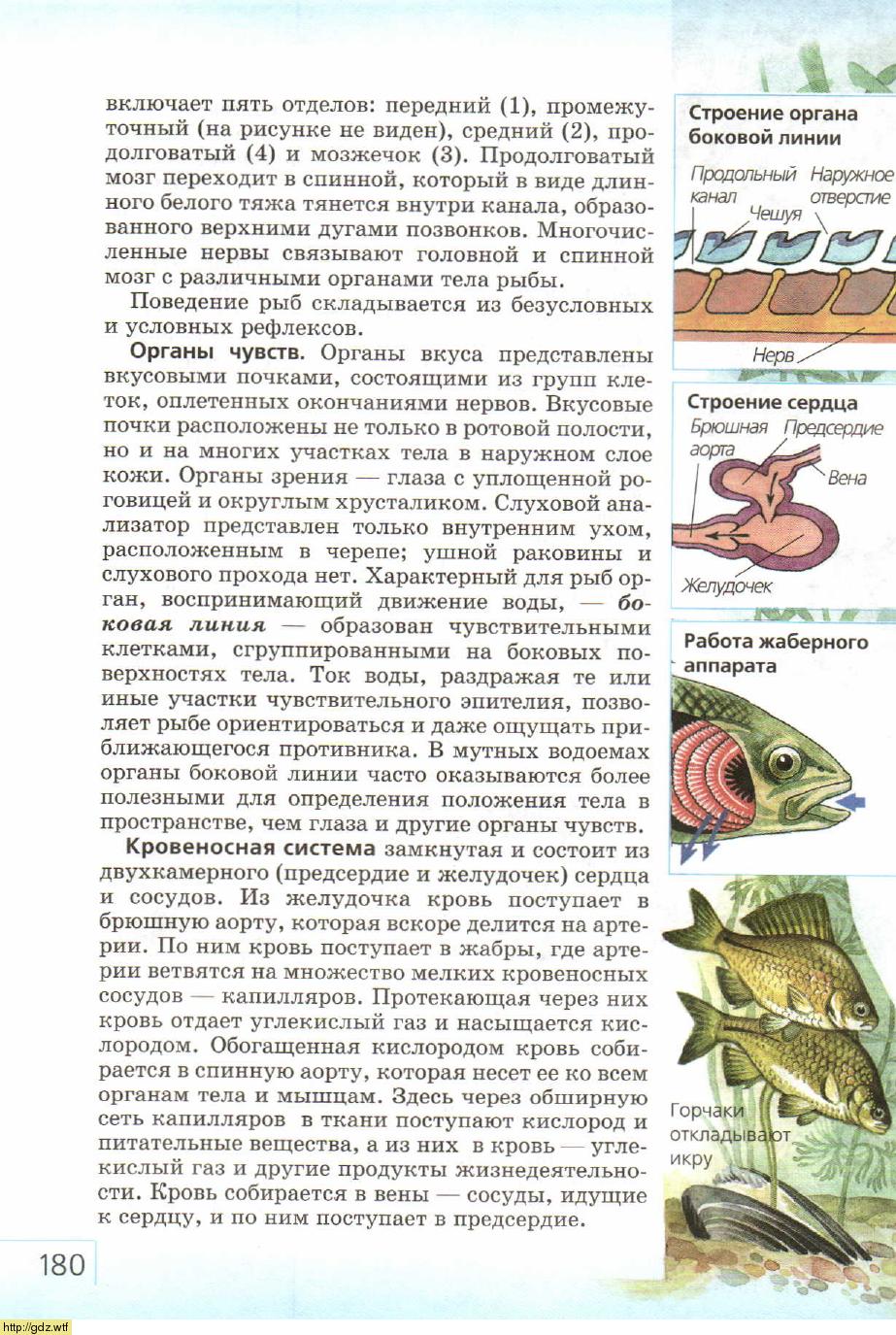 Биология за 7-ой класс - В.Б. Захаров, Н.И. Сонин. Биология ...