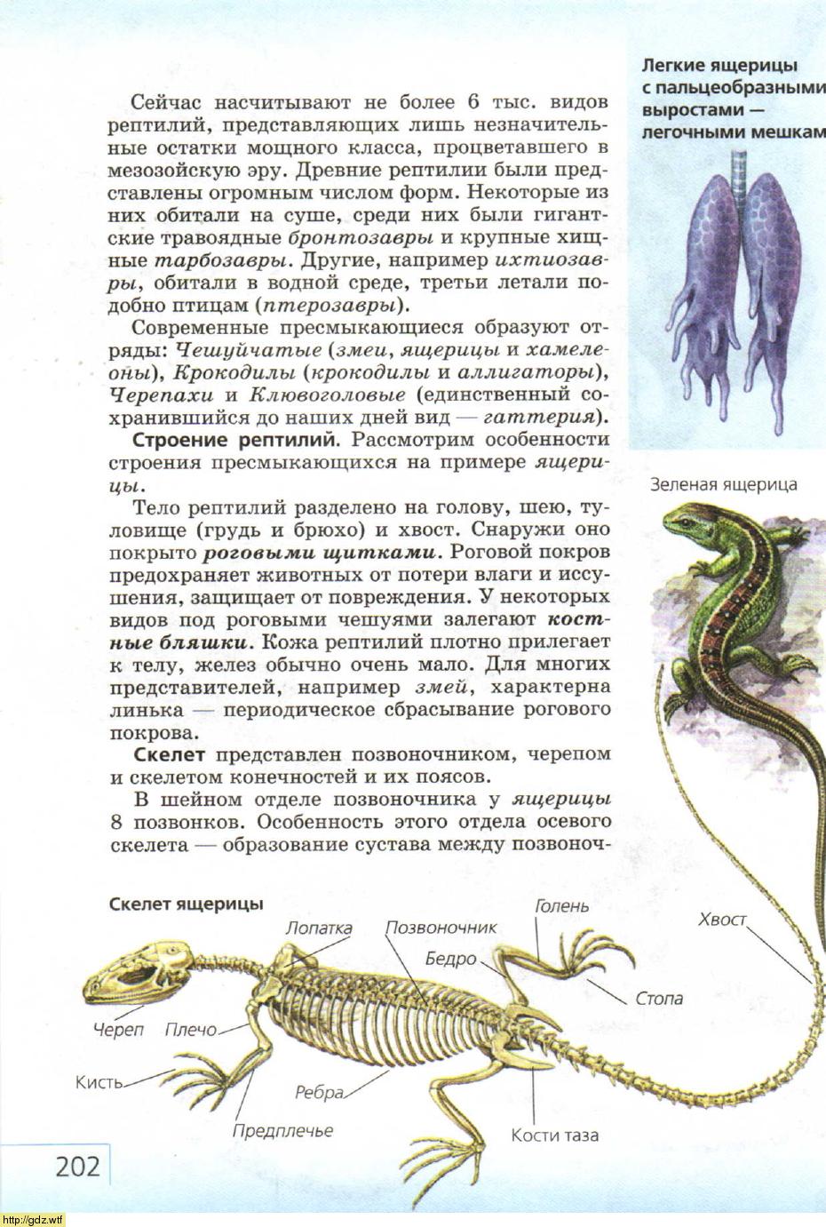 Биология за 7-ой класс - В.Б. Захаров, Н.И. Сонин. Биология ...