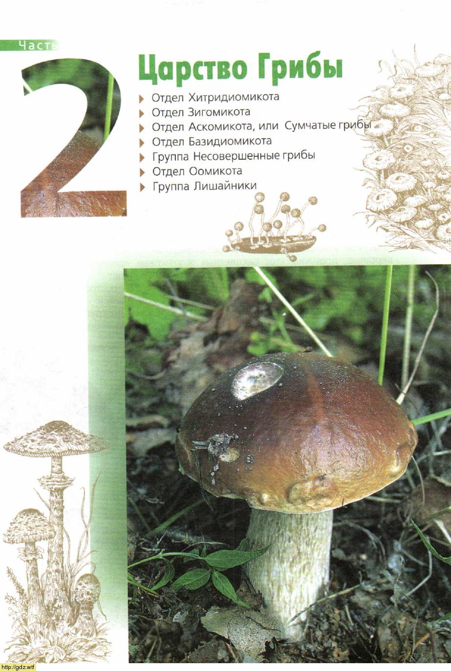 Биология за 7-ой класс - В.Б. Захаров, Н.И. Сонин. Биология ...