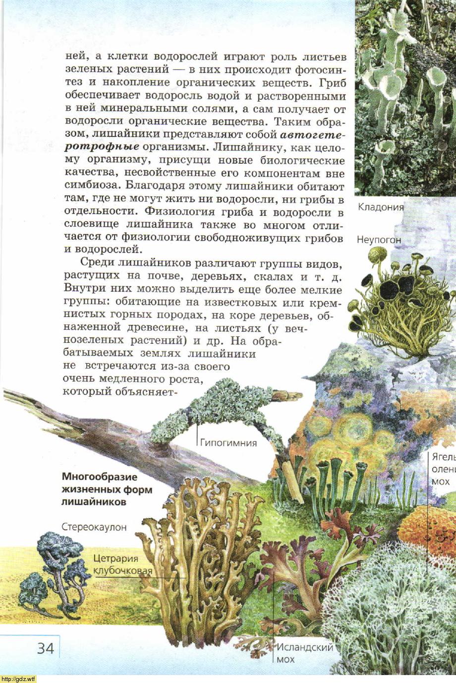 Биология за 7-ой класс - В.Б. Захаров, Н.И. Сонин. Биология ...
