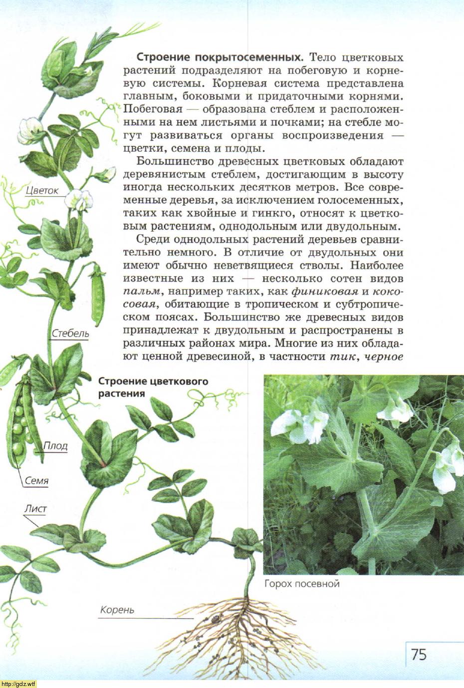 Биология за 7-ой класс - В.Б. Захаров, Н.И. Сонин. Биология ...