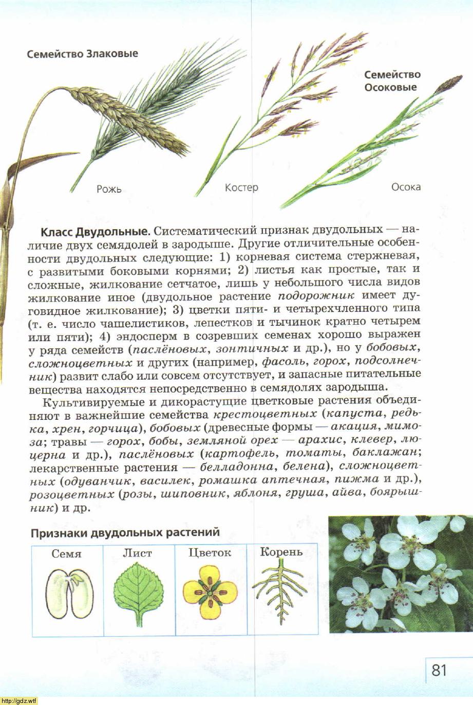 Биология за 7-ой класс - В.Б. Захаров, Н.И. Сонин. Биология ...