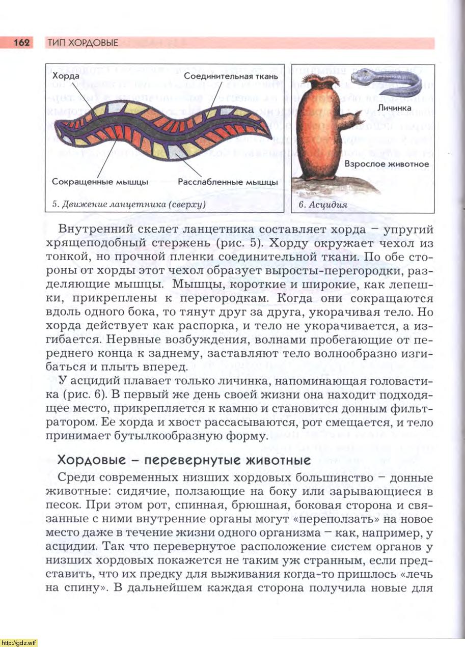 гдз биология вахрушев (100) фото