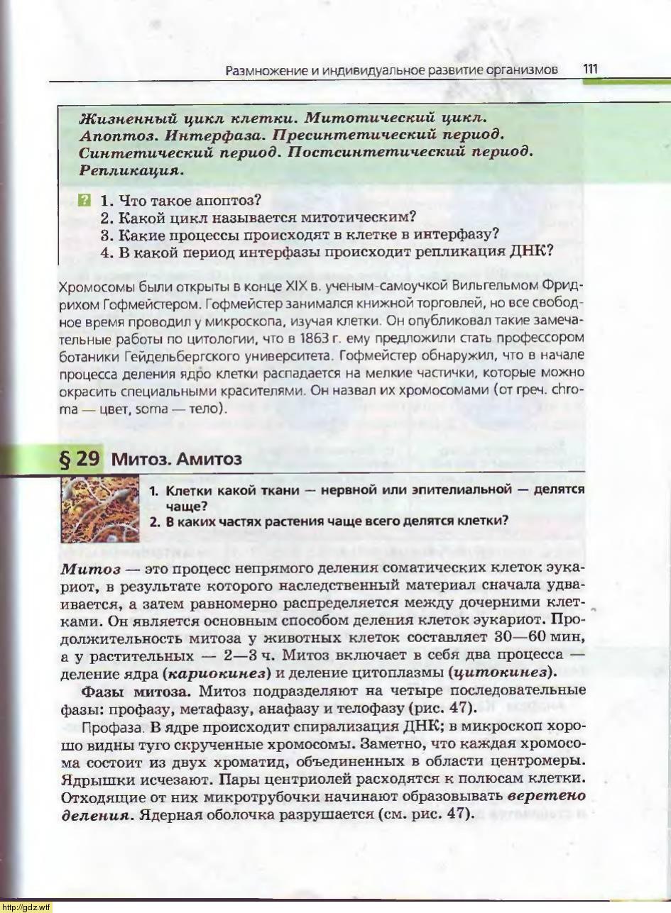 Биология за 10-ый класс - А.А. Каменский, Е.А. Криксунов. Общая ...