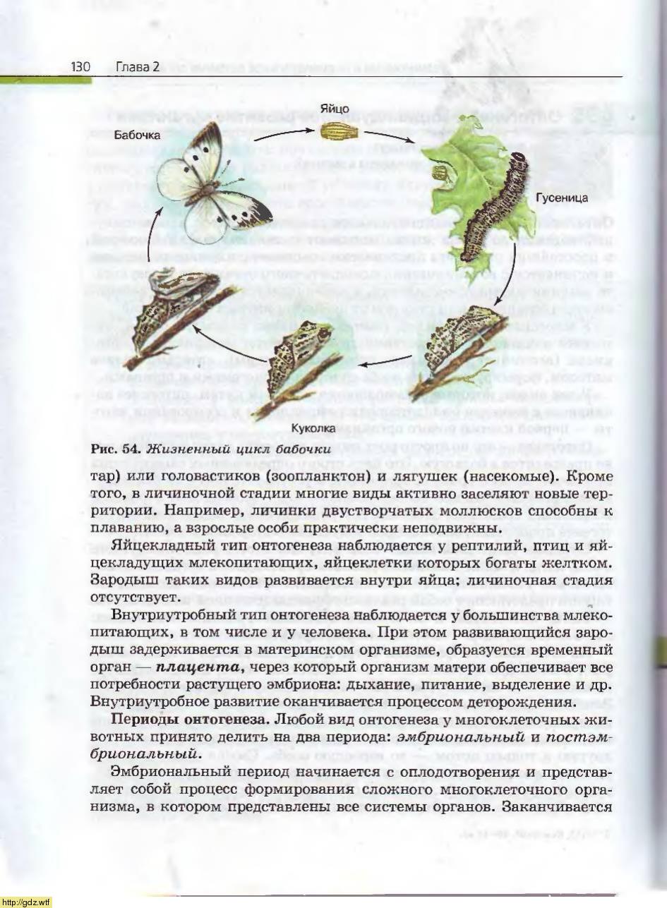 Биология за 10-ый класс - А.А. Каменский, Е.А. Криксунов. Общая ...