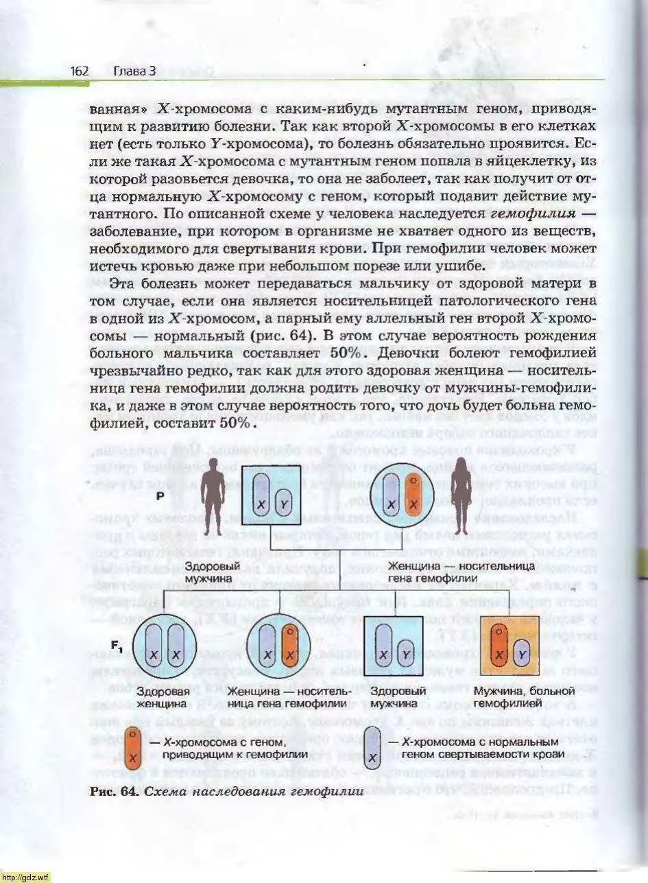 Биология за 10-ый класс - А.А. Каменский, Е.А. Криксунов. Общая ...