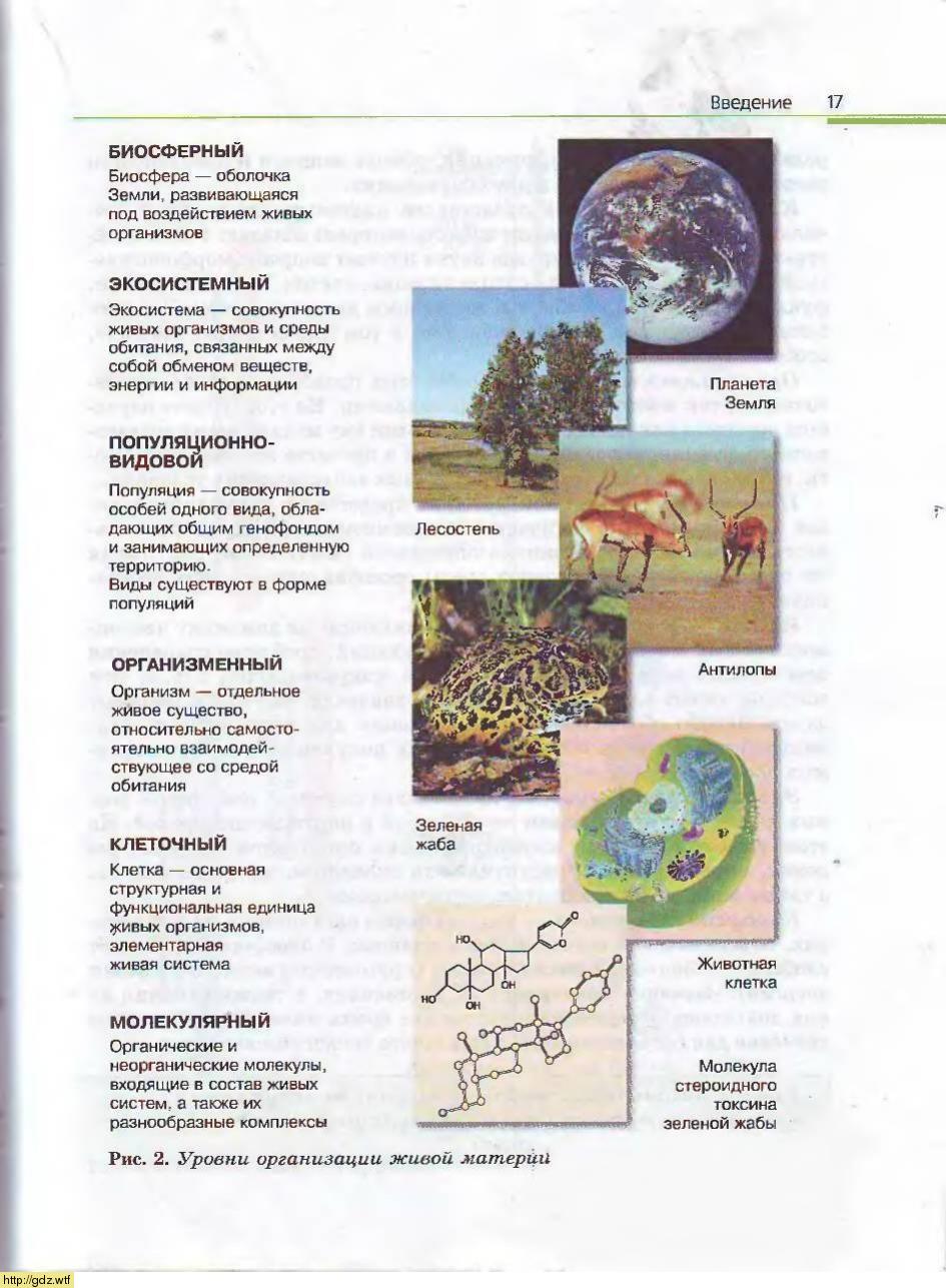 Биология за 10-ый класс - А.А. Каменский, Е.А. Криксунов. Общая ...