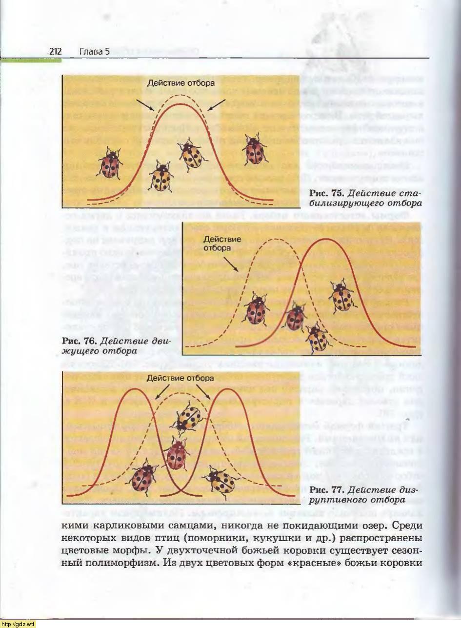Биология за 10-ый класс - А.А. Каменский, Е.А. Криксунов. Общая ...