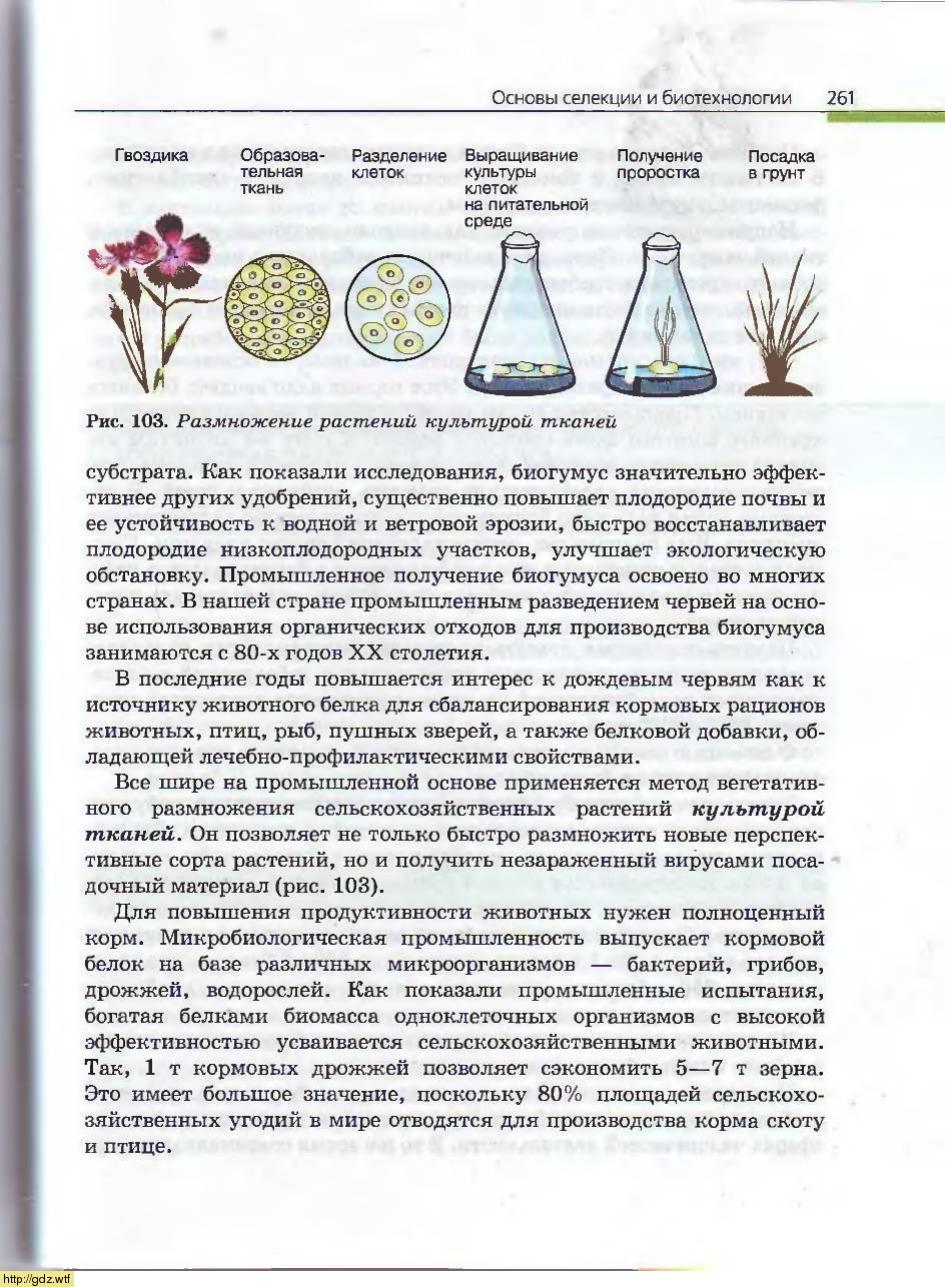Биология за 10-ый класс - А.А. Каменский, Е.А. Криксунов. Общая ...