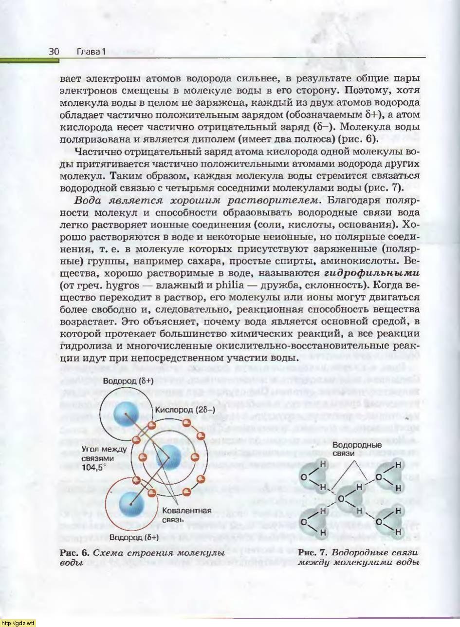 Биология за 10-ый класс - А.А. Каменский, Е.А. Криксунов. Общая ...