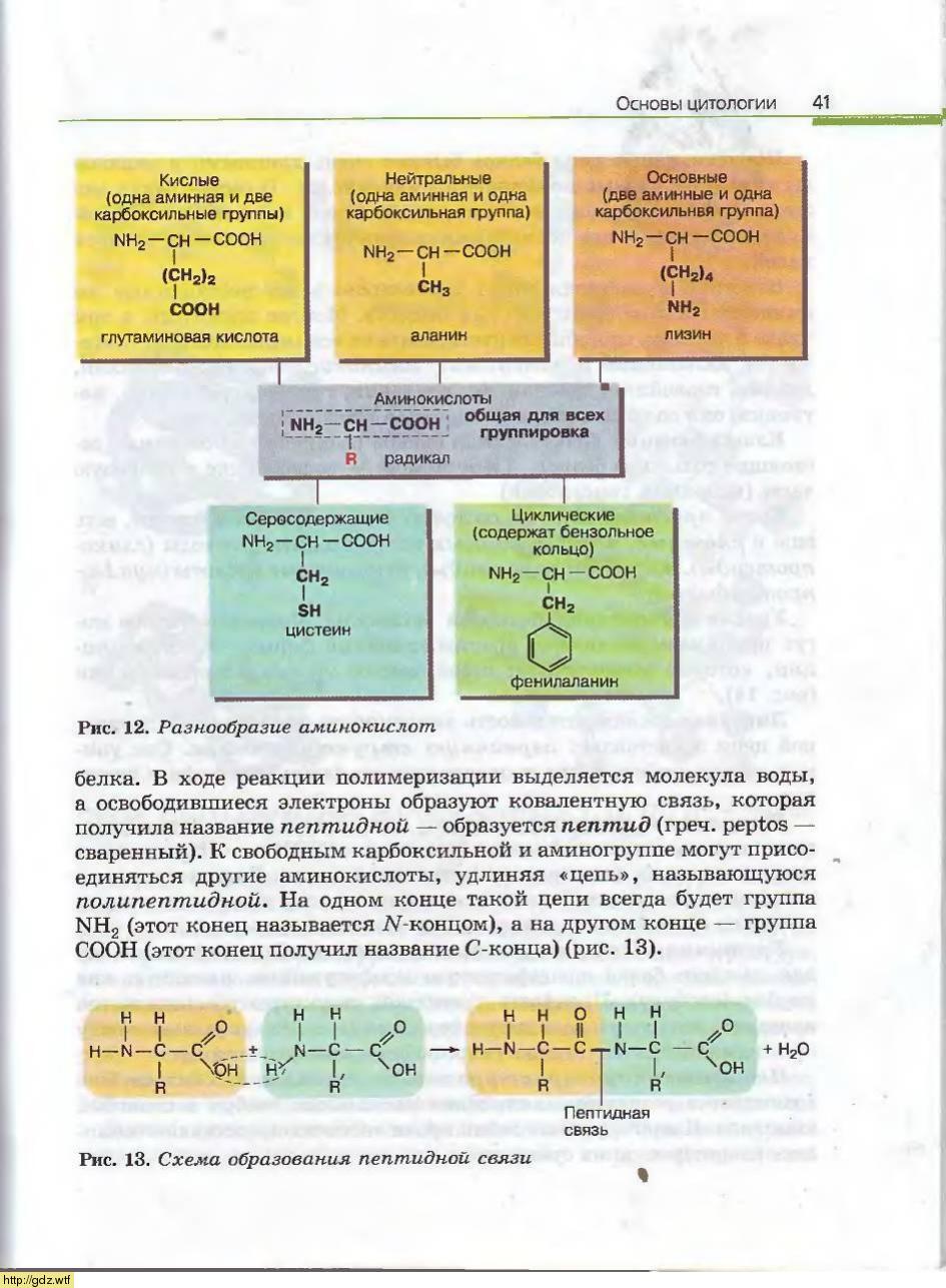 гдз по биологии 10 класс каменский криксунов пасечник учебник