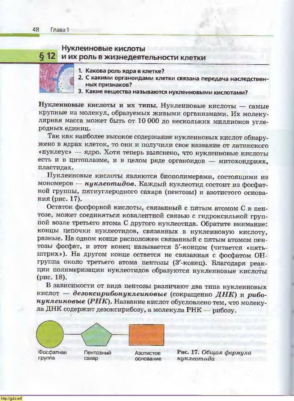 Биология за 10-ый класс - А.А. Каменский, Е.А. Криксунов. Общая ...