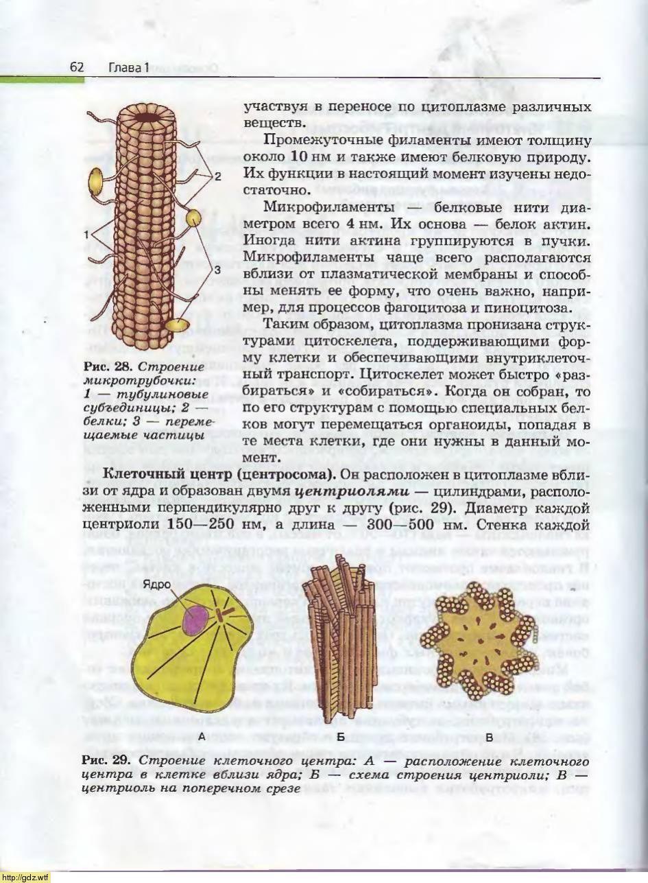 Биология за 10-ый класс - А.А. Каменский, Е.А. Криксунов. Общая ...