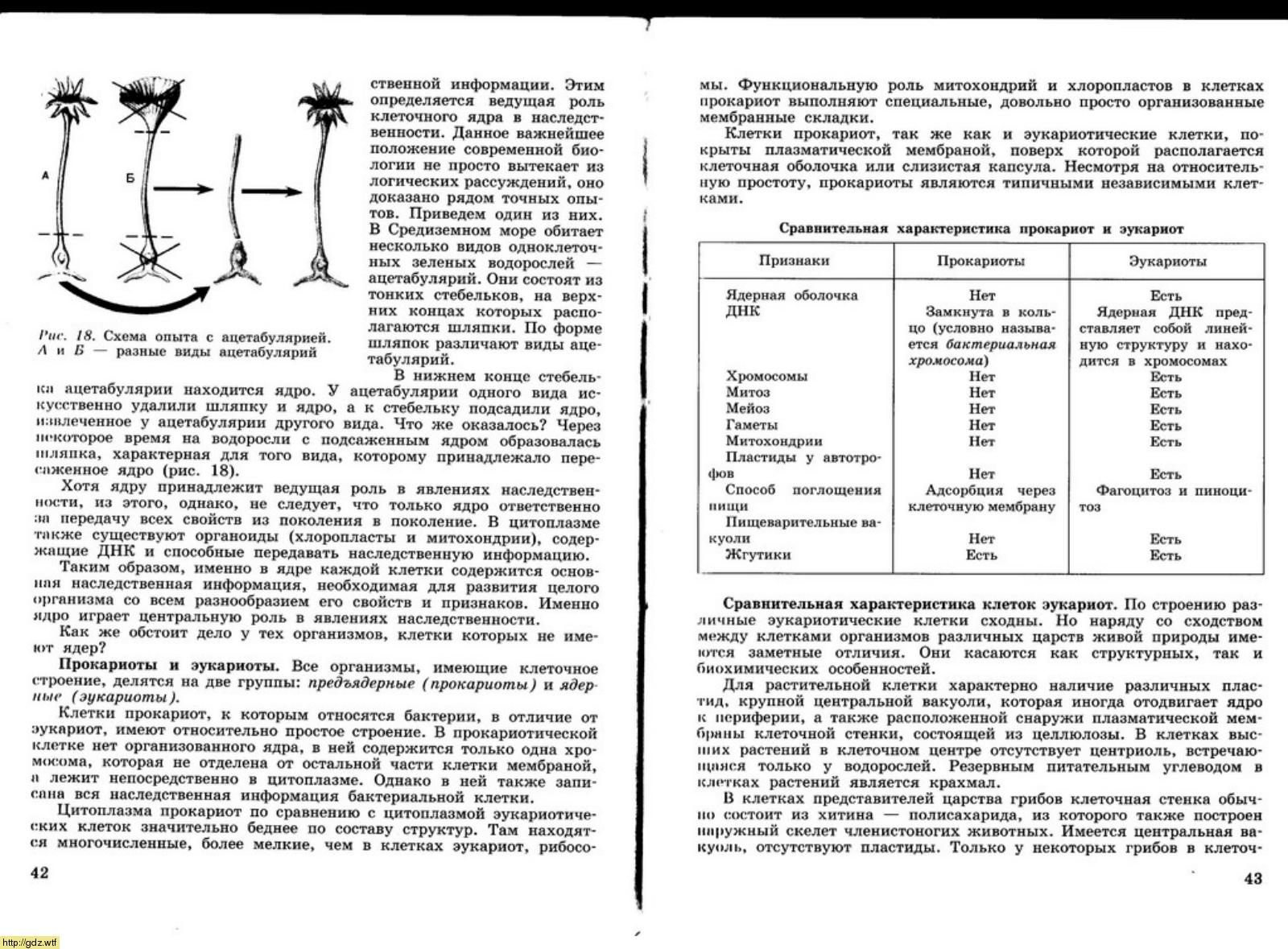 Биология за 10-ый класс - Д.К. Беляев, П.М. Бородин. Общая биология 10-11-ый  классы. Учебник. #21