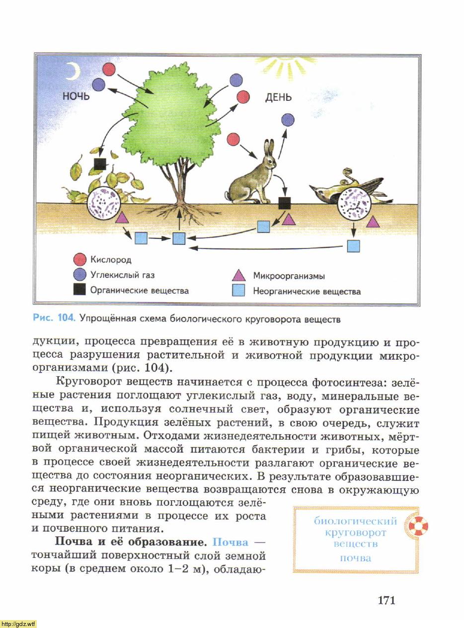 География за 6-ой класс - А.А. Летягин. География. Начальный курс. 6-ой ...