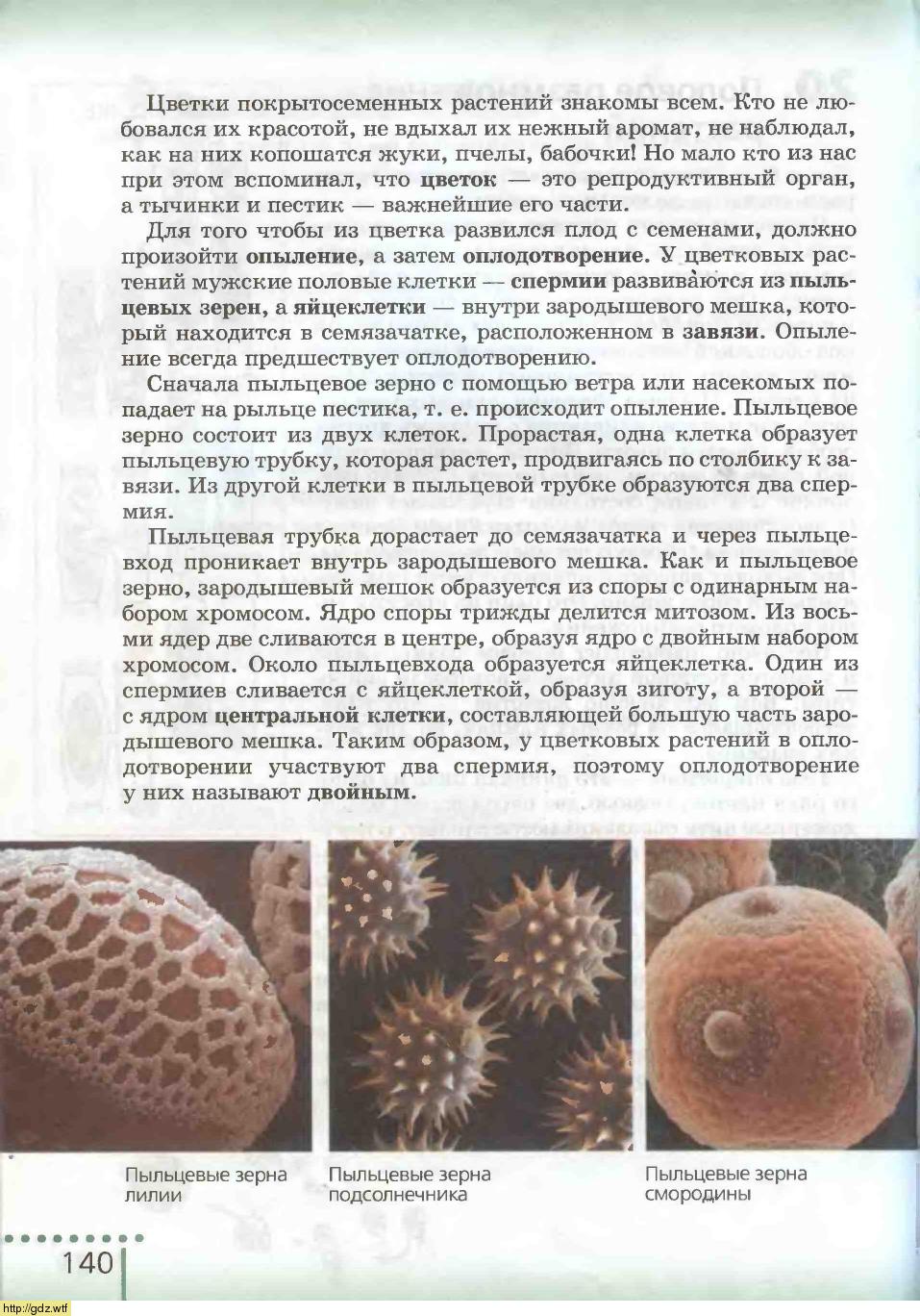 Биология за 6-ой класс - Н.И.Сонин. Биология 6-ой класс. Учебник. #138